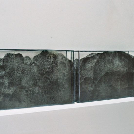 Valérie Novello - Paysage de cendre