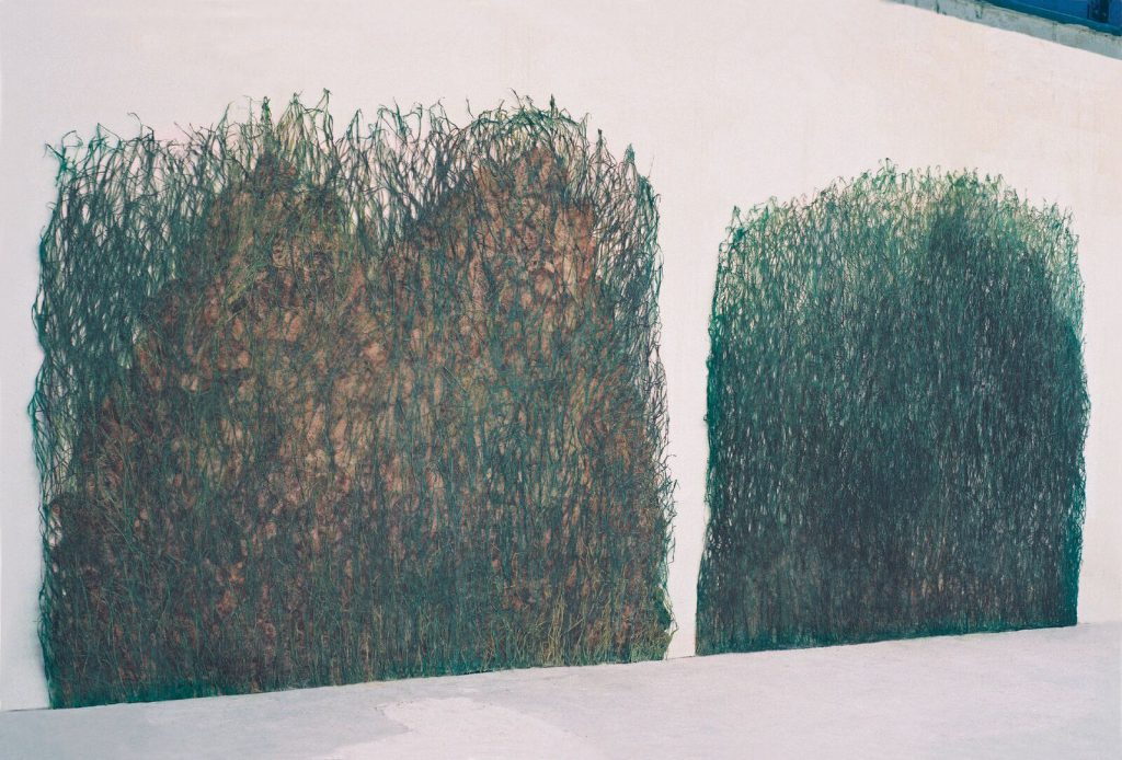 Valérie Novello - Herbes