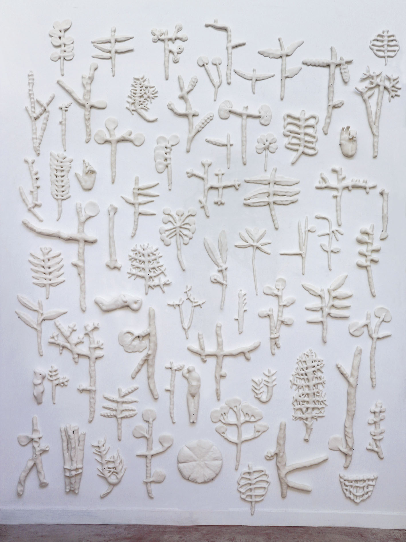 Herbier os