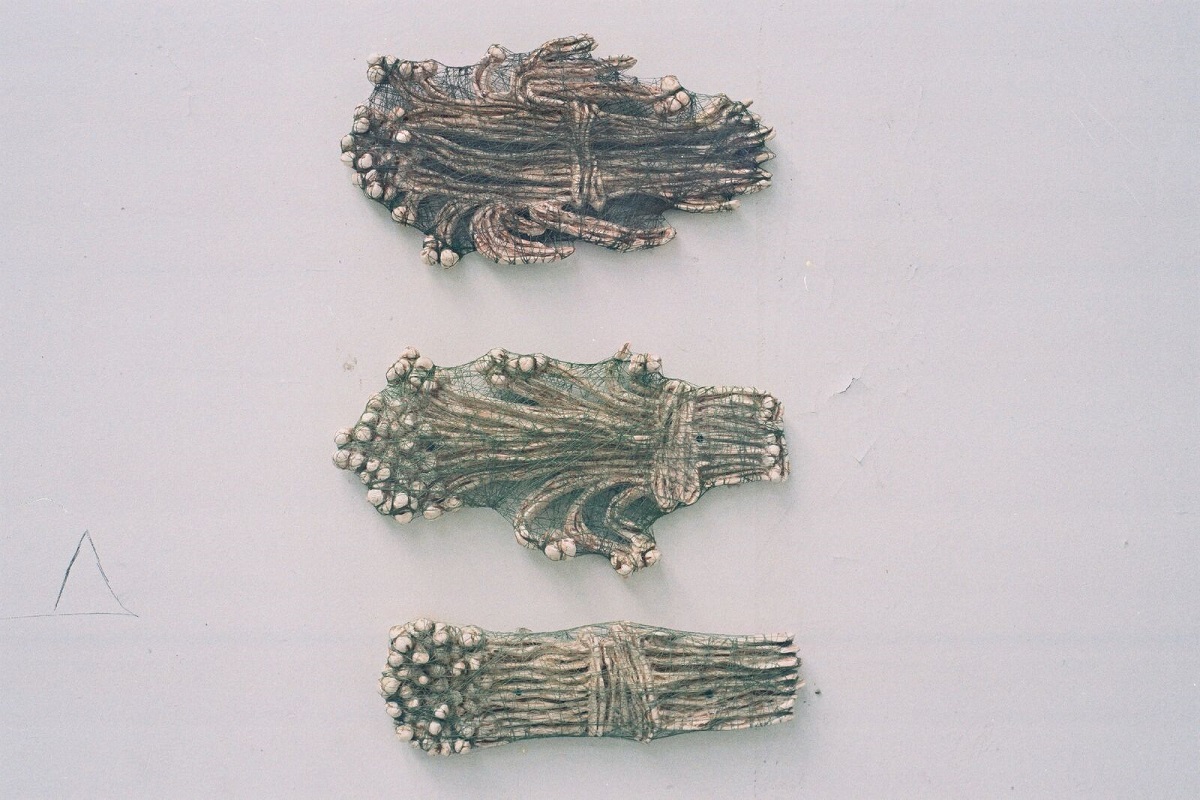 6 Trois immortelles