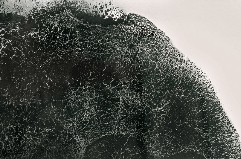 Valérie Novello - Paysage de cendre