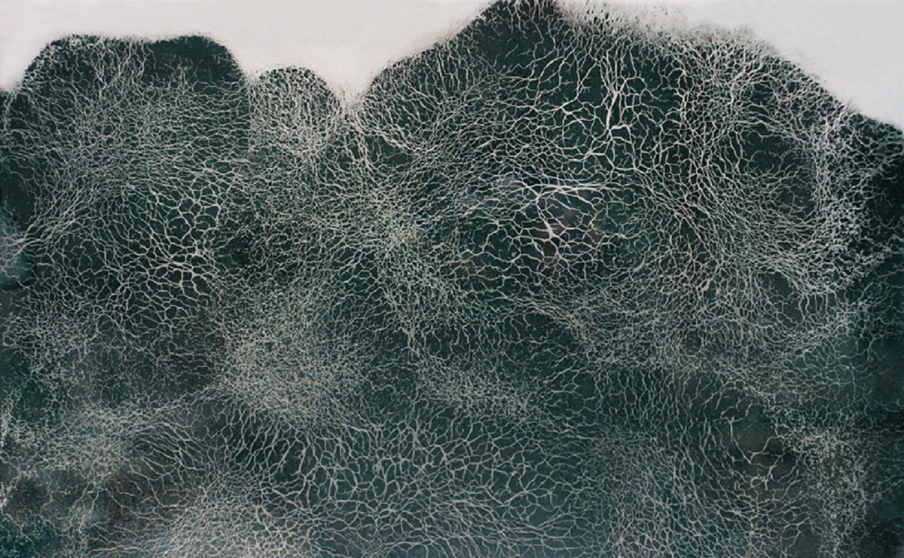 Valérie Novello - Paysage de cendre